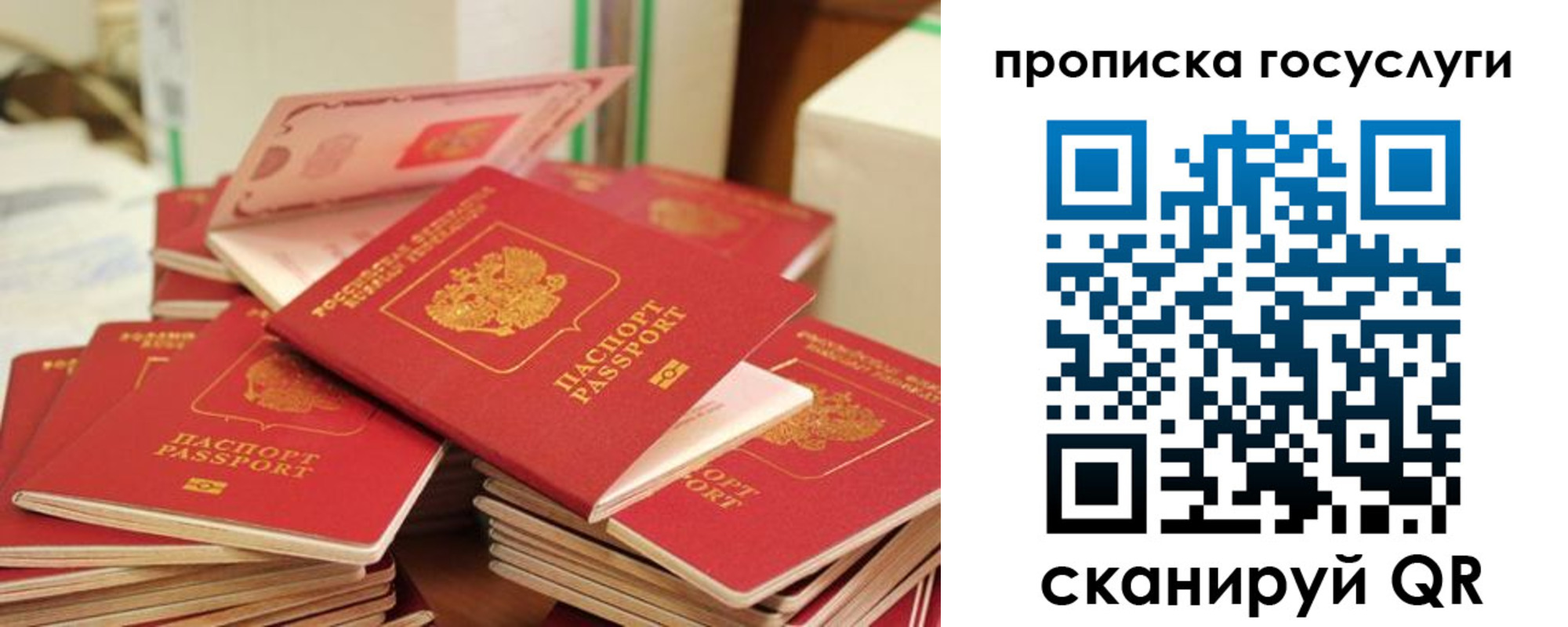 купить прописку в Смоленске